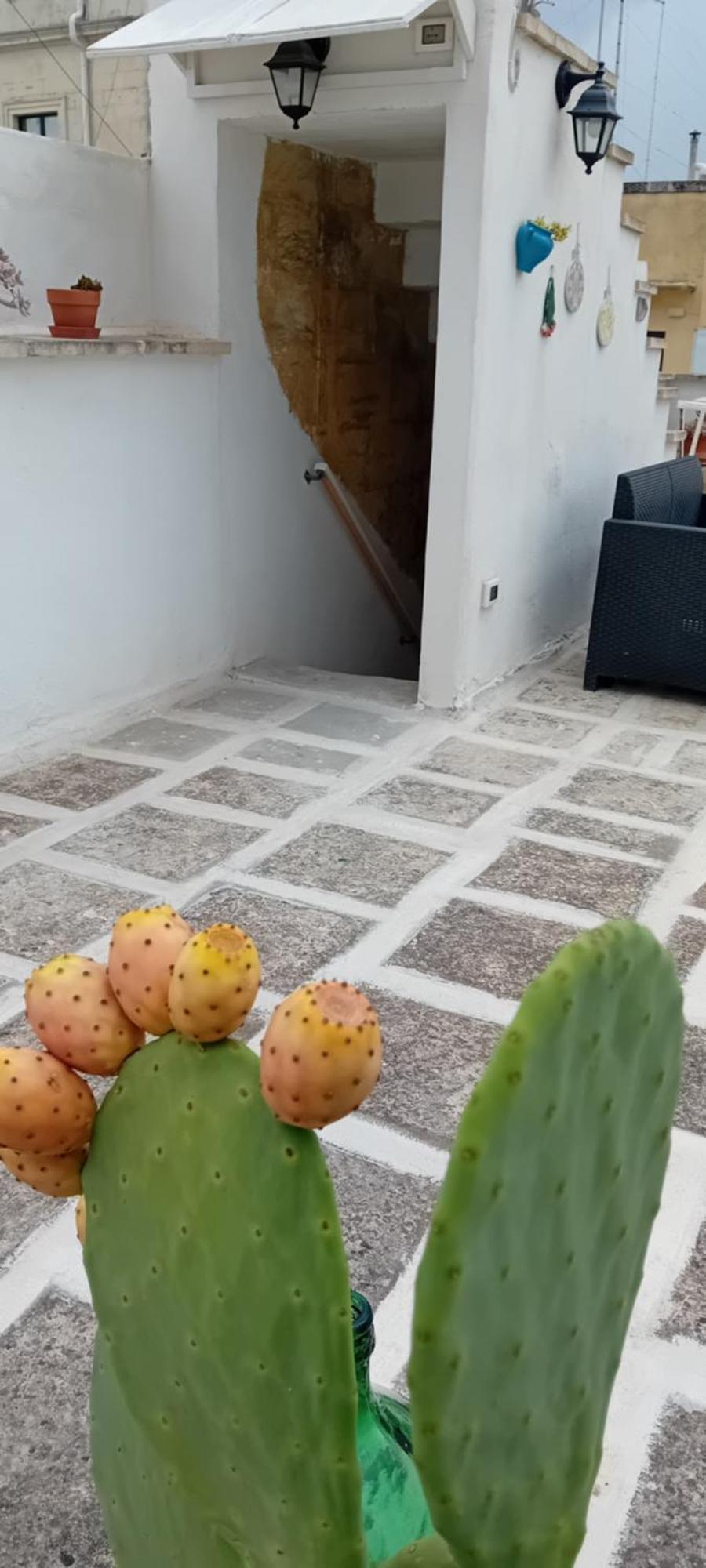 Aremu Maison d'hôtes